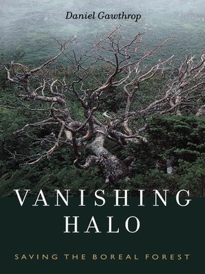cover image of Vanishing Halo
